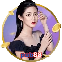 pub88