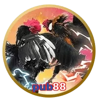 pub88
