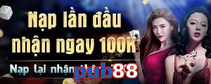 pub88
