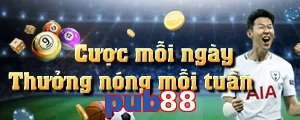 pub88
